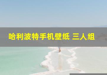 哈利波特手机壁纸 三人组